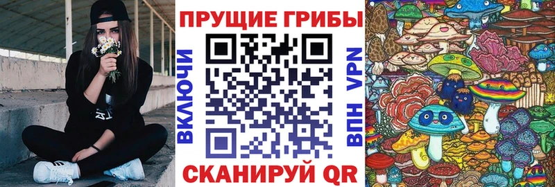Купить где  Семикаракорск  Галлюциногенные грибы Cubensis 